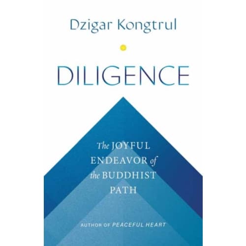 Diligence (häftad, eng)