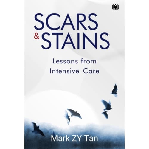 Scars & Stains (häftad, eng)