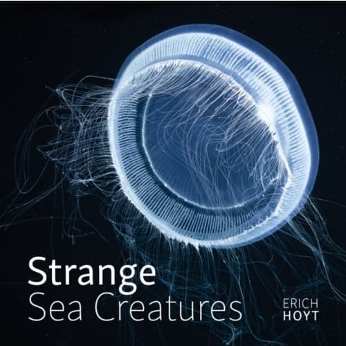 Strange Sea Creatures (häftad, eng)