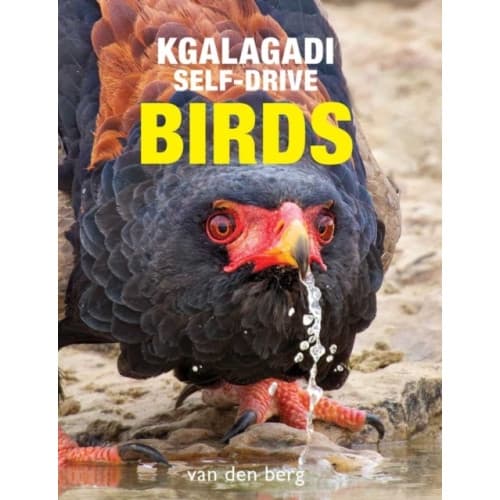 Kgalagadi Self-Drive Birds (häftad, eng)