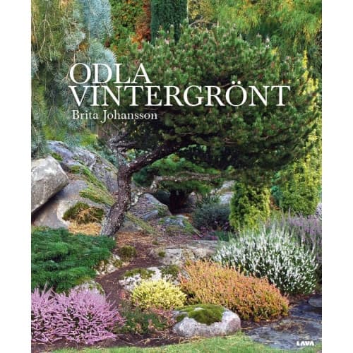 Odla vintergrönt (inbunden)