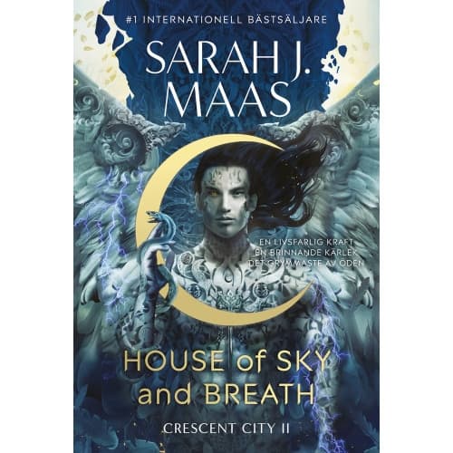 House of Sky and Breath (Svensk utgåva) (bok, danskt band)
