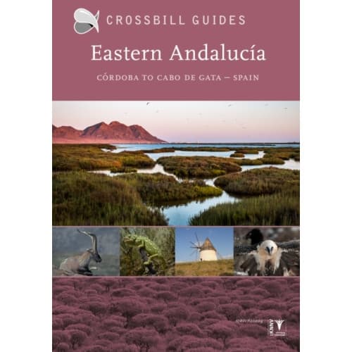 Eastern Andalucia (häftad, eng)
