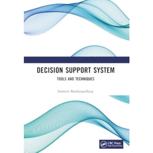 Decision Support System (häftad, eng)