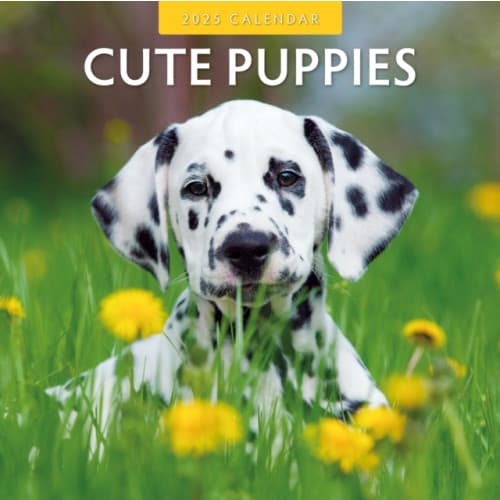 Cute Puppies 2025 Square Wall Calendar (häftad, eng)