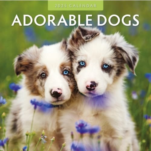 Adorable Dogs 2025 Square Wall Calendar (häftad, eng)