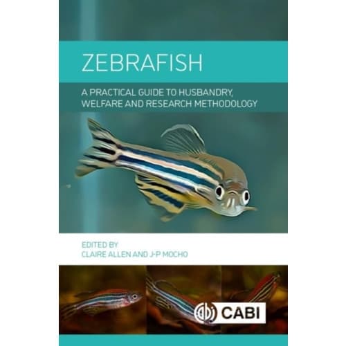 Zebrafish (inbunden, eng)