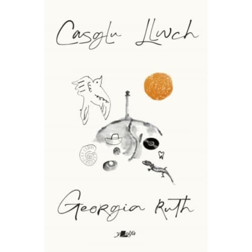 Casglu Llwch (häftad, wel)