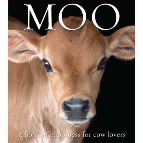 Moo (häftad, eng)