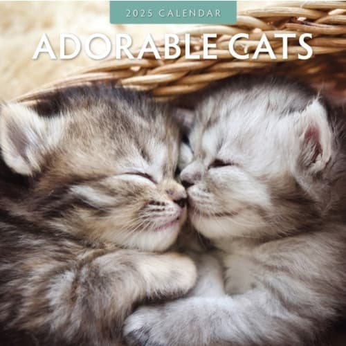 Adorable Cats 2025 Square Wall Calendar (häftad, eng)