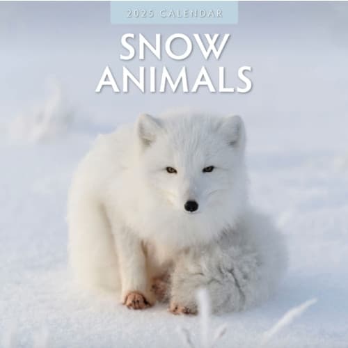 Snow Animals 2025 Square Wall Calendar (häftad, eng)