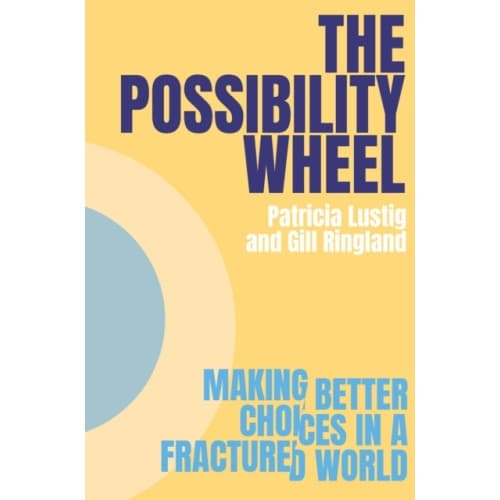 The Possibility Wheel (häftad, eng)