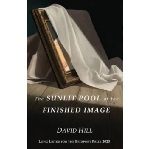 The Sunlit Pool of the Finished Image (häftad, eng)