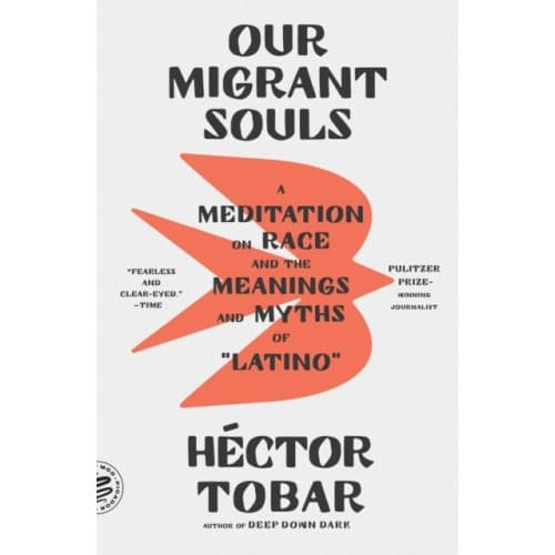 Our Migrant Souls (häftad, eng)