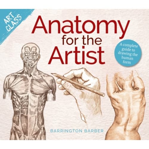 Art Class: Anatomy for the Artist (häftad, eng)