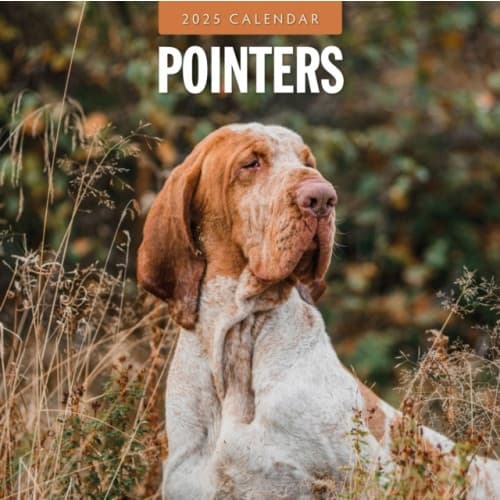 Pointers 2025 Square Wall Calendar (häftad, eng)