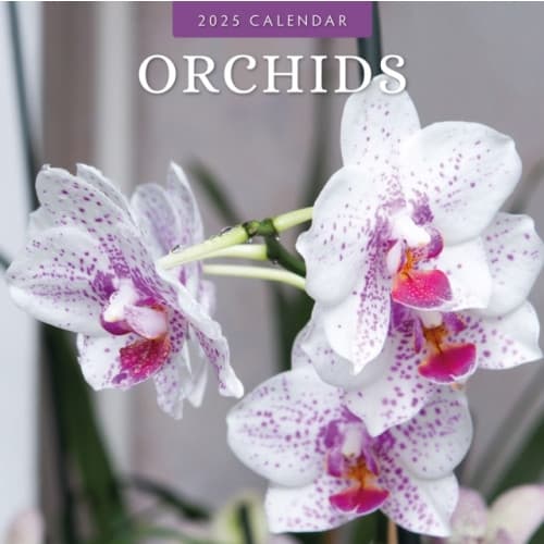 Orchids 2025 Square Wall Calendar (häftad, eng)