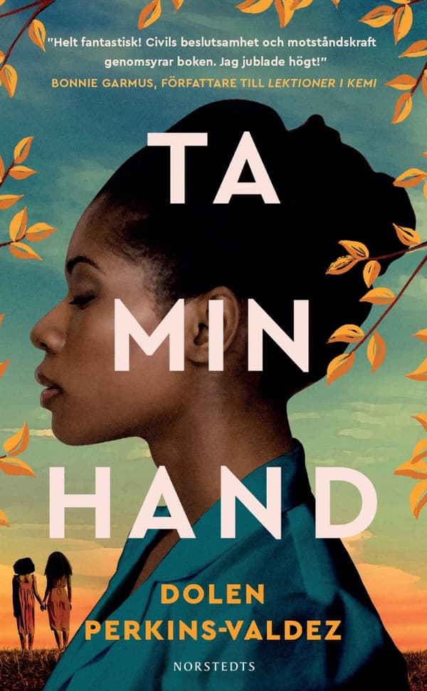 Ta Min Hand (Bok)