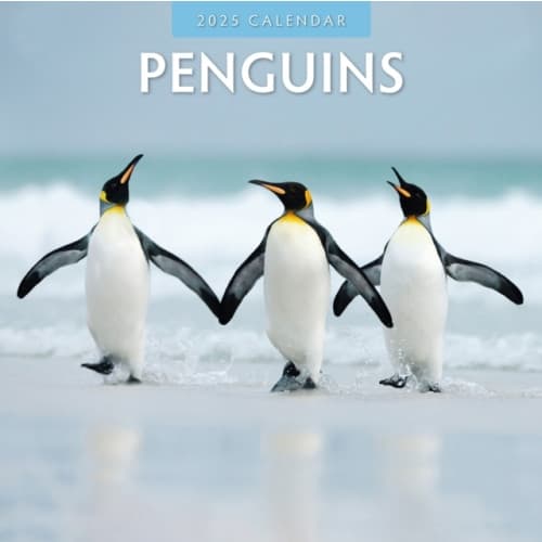 Penguins 2025 Square Wall Calendar (häftad, eng)