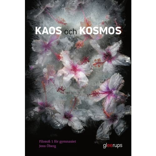 Kaos och kosmos, Filosofi 1, bok, Gy25 (häftad)