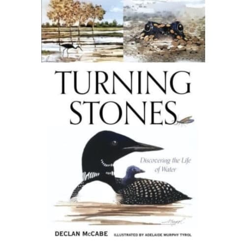 Turning Stones (häftad, eng)