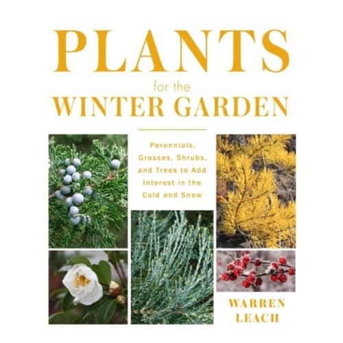 Plants for the Winter Garden (inbunden, eng)