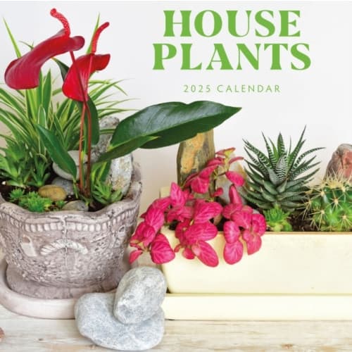 House Plants 2025 Square Wall Calendar (häftad, eng)