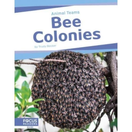 Bee Colonies (inbunden, eng)