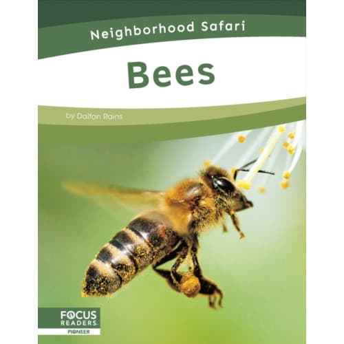 Bees (inbunden, eng)