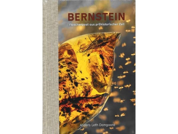 BERNSTEIN - En flaskepost fra forhistorisk tid | Anders Leth Damgaard