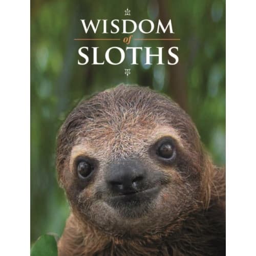 Wisdom of Sloths (inbunden, eng)