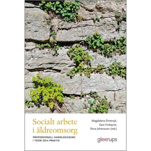 Socialt arbete i äldreomsorg : professionell handläggning i teori och praktik (häftad)
