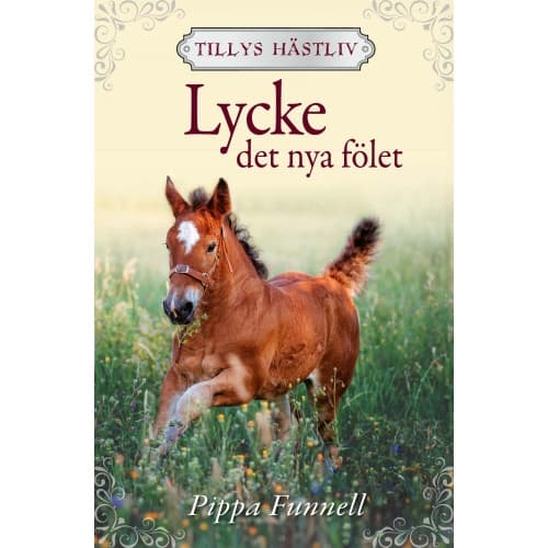 Lycke : det nya fölet (inbunden)