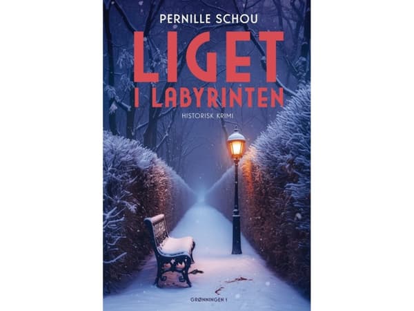 Liget i labyrinten | Pernille Schou