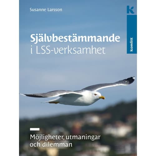 Självbestämmande i LSS-verksamhet : Möjligheter, utmaningar och dilemman (inbunden)
