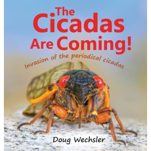 The Cicadas Are Coming! (inbunden, eng)