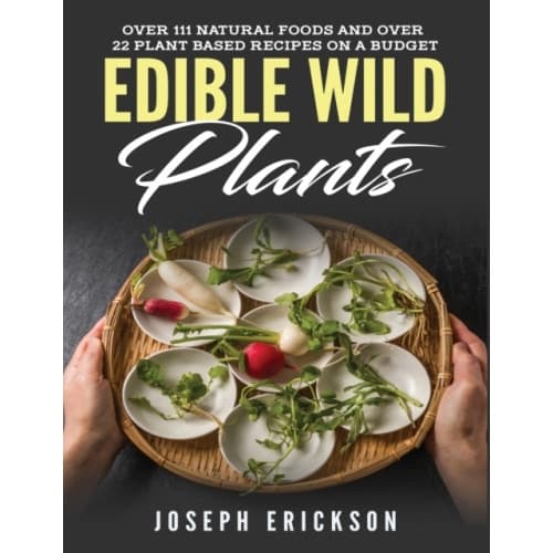Edible Wild Plants (häftad, eng)
