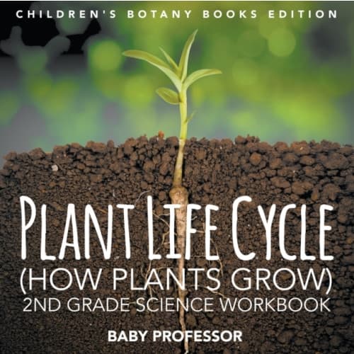 Plant Life Cycle (How Plants Grow) (häftad, eng)