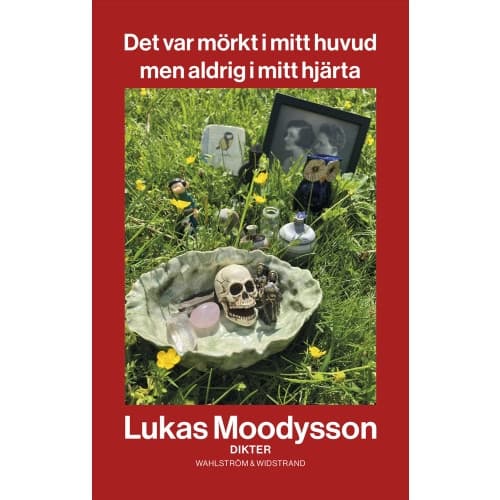 Det var mörkt i mitt huvud men aldrig i mitt hjärta (bok, danskt band)