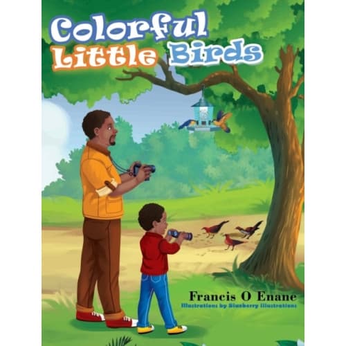Colorful Little Birds (inbunden, eng)