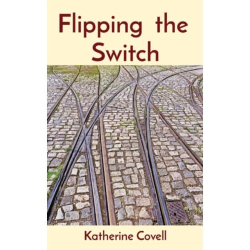 Flipping the Switch (häftad, eng)