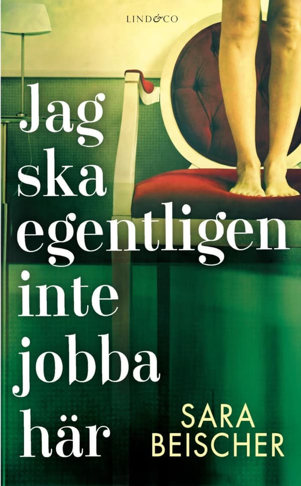 Jag Ska Egentligen Inte Jobba Här (Bok)