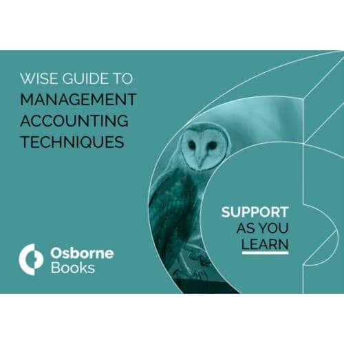 MANAGEMENT ACCOUNTING TECHNIQUES WISEGUIDE (häftad, eng)