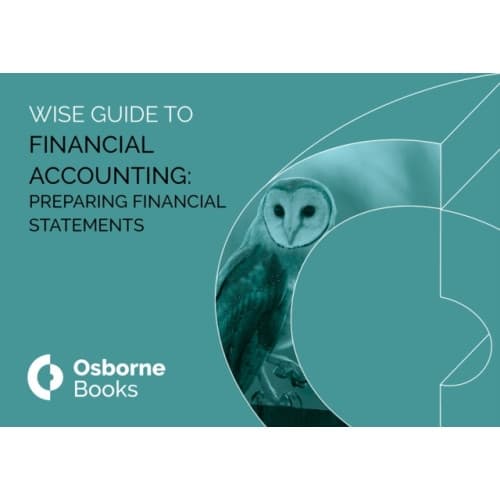 FINANCIAL ACCOUNTING: PREPARING FINANCIAL STAETMENTS WISEGUIDE (häftad, eng)