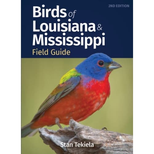 Birds of Louisiana & Mississippi Field Guide (häftad, eng)