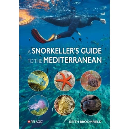 A Snorkeller’s Guide to the Mediterranean (häftad, eng)