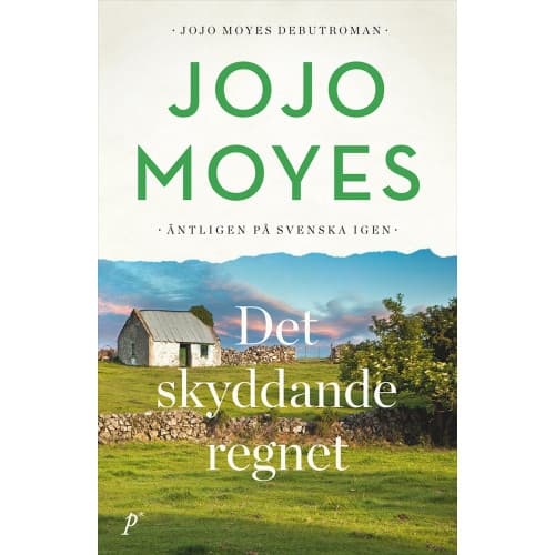 Det skyddande regnet (bok, storpocket)