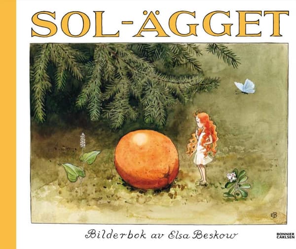 Solägget (Bok)