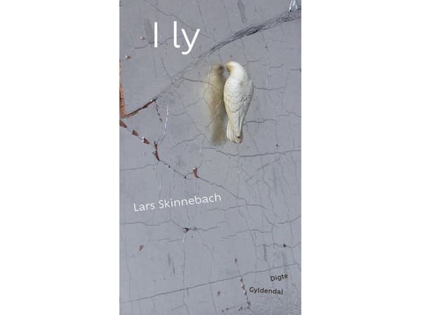 I ly | Lars Skinnebach