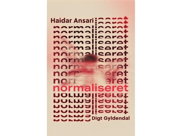 Normaliseret | Haidar Ansari